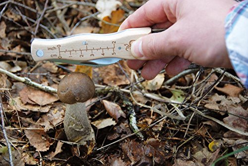 Esschert Design Mushroom Knife with Brush - Image 3