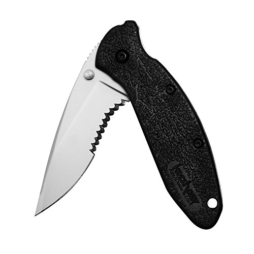Kershaw Scallion Serrated Pocket Knife, 2.25” Stainless Steel Blade with Assisted Opening, Glass-Filled Nylon Handle with Single-Position Pocketclip, Small Folding Knife